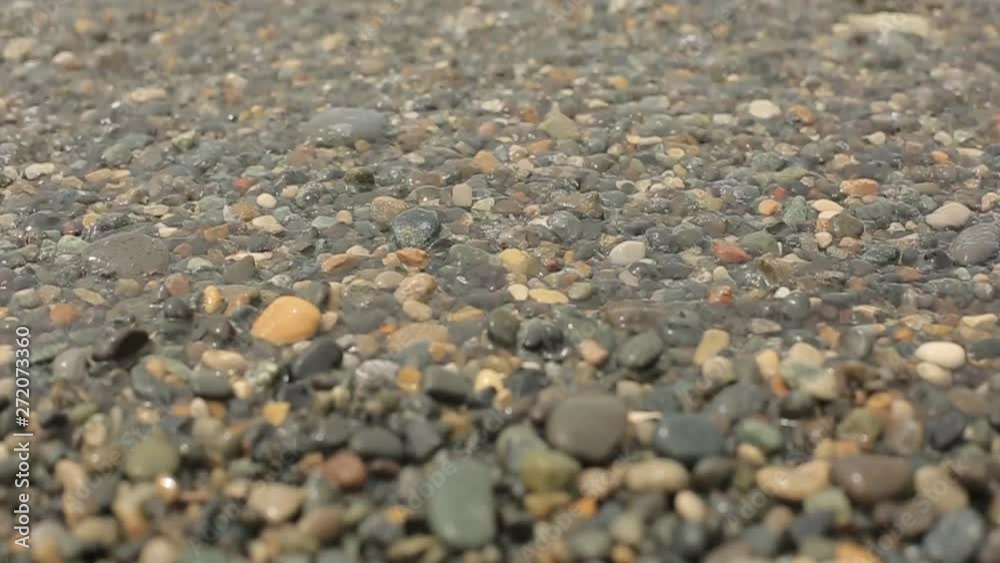 sea surf on a pebble beach, summer vacation on the sea sea surf on a pebble beach, summer vacation on the sea