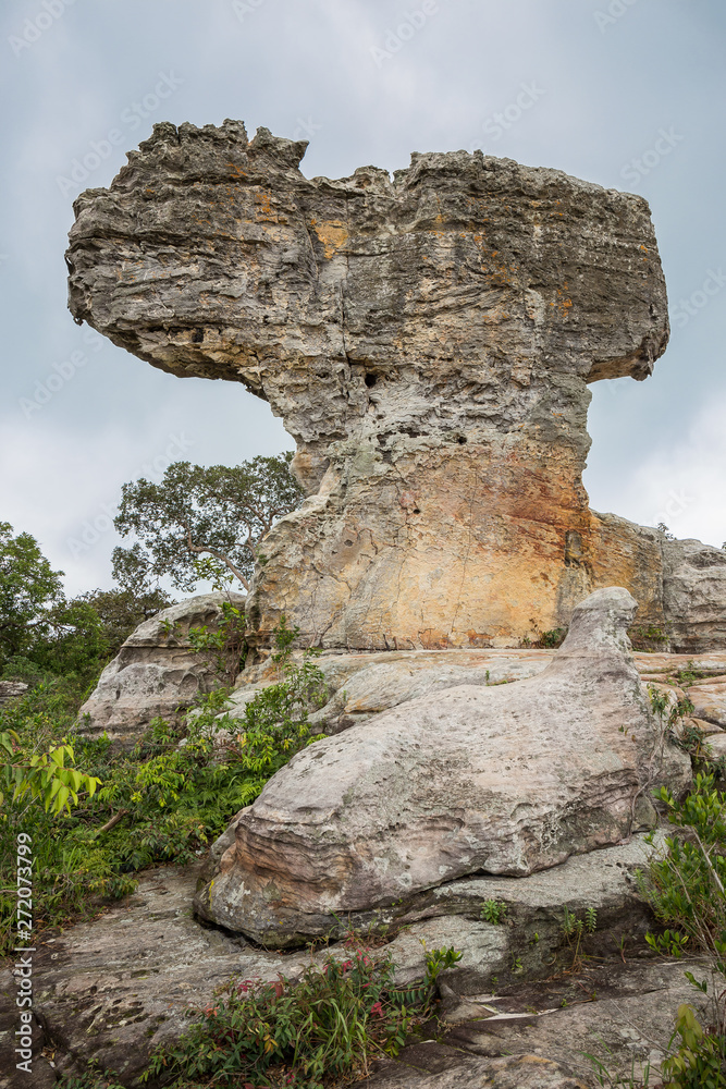 Strange shaped rock at Pa Hin Ngam National Park - Chaiyaphum, Thailand