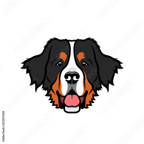Bernese mountaing dog - isolated vector illustration - Vector