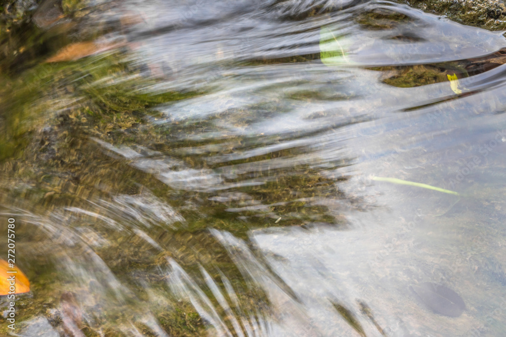 Obraz premium Autumn clear stream with fallen leaves close-up