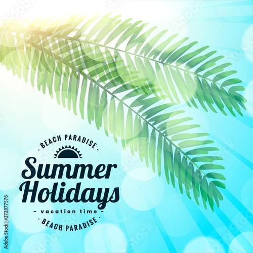 summer holidays beach paradise leaves background
