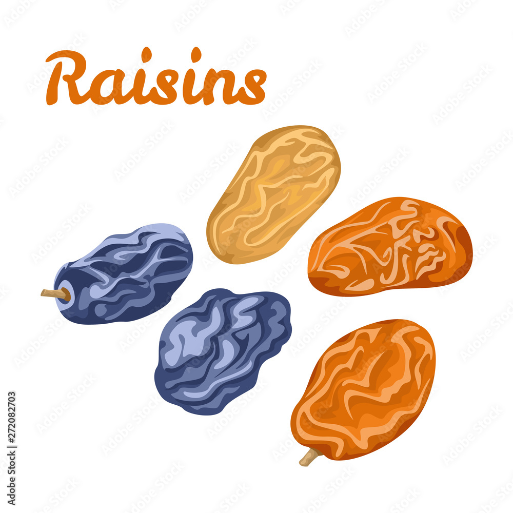 Swollen Raisins Vector Vecteur Stock Dried raisins isolated on white background. Dried berries ...