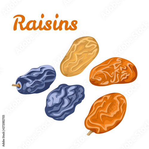 Dried raisins isolated on white background. Dried berries of grapes. Vector illustration of natural sweets in a flat style. Vegetarian, healthy food.