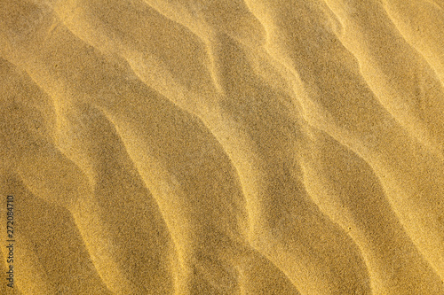 Sand desert texture