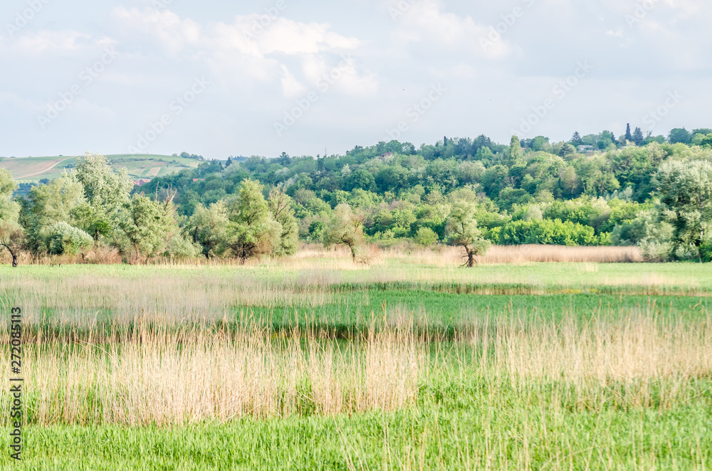Panoramic view of the swamp near the town of Novi Sad in Serbia Panoramic view of the swamp near the town of Novi Sad in Serbia