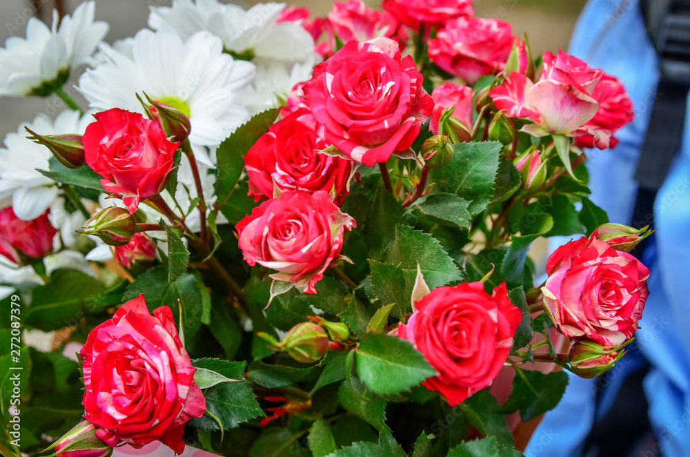 Beautiful fresh pink spray roses in a bouquet lie on a bench close-up Beautiful fresh pink spray roses in a bouquet lie on a bench close-up