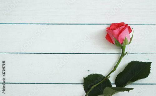 Roses background, valentines day card