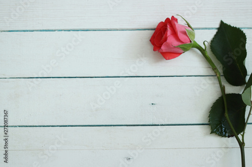 Roses background, valentines day card