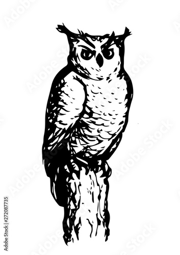 An owl sits on a tree. Vector drawing