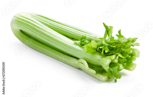 twig of fresh green celery sticks isolated on white background