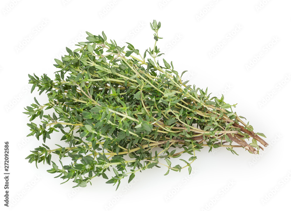 Fresh thyme isolated on white background