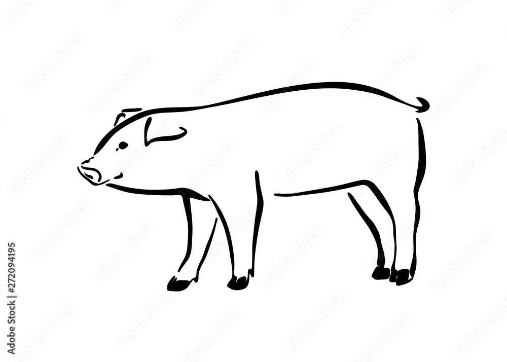 Hand drawn cute pig sketch illustration. Vector black ink drawing farm animal, outline pet silhouette isolated on white background