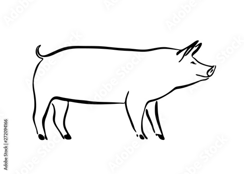 Hand drawn pig sketch illustration. Vector black ink drawing farm animal, outline silhouette isolated on white background