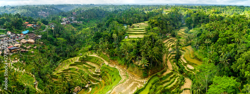Aerial View of Tegallalang Bali Rice Terraces. Panorama.