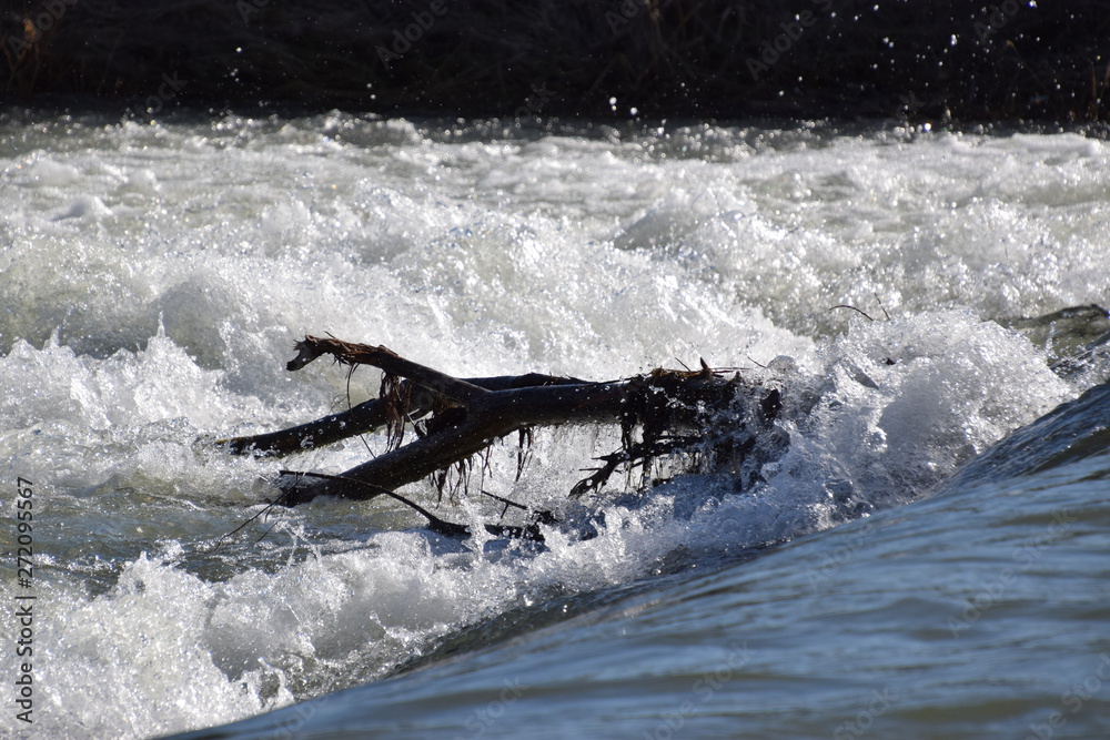 Fototapeta premium Stromschnellen im Fluss, glänzend im Sonnenlicht