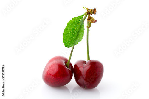 Ripe sweet cherry berries close up.