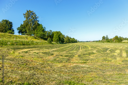 Hay harvest in a field in a rural summer landscape