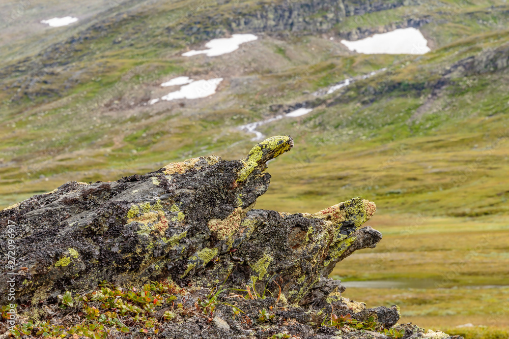 Fototapeta premium Rock formation with lichens in a mountain landscape