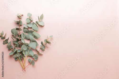Flowers and eucaaliptus composition. Pattern made of various colorful flowers on white background. Flat lay stiil life.