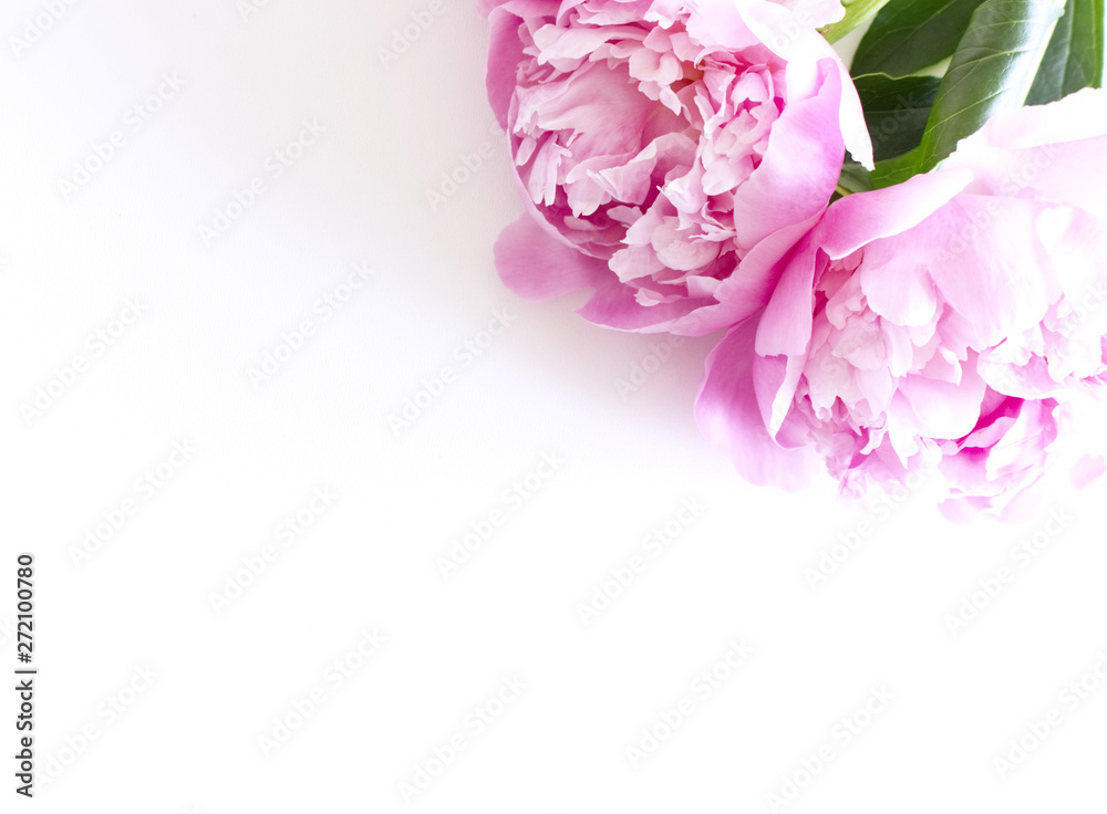Fototapeta premium Flowers composition. Frame made of pink peony flowers on white background. Flat lay, top view.