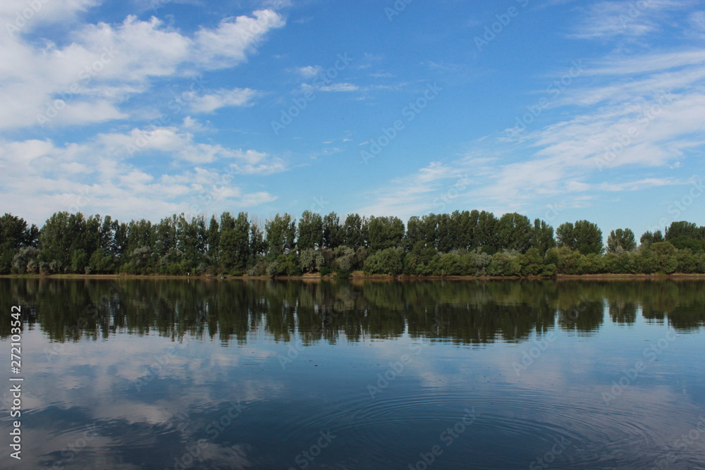 landscape with lake and blue sky and forest
