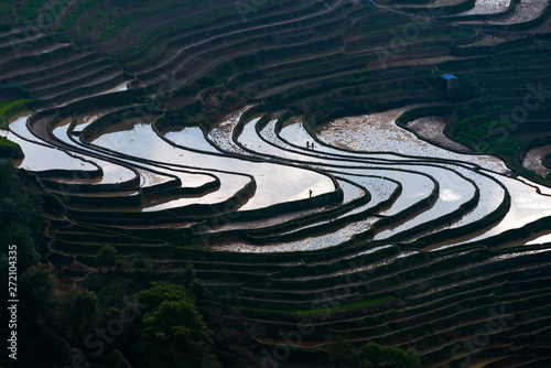 Obraz na plátně The rice terraces at Bada site in Yuanyang county, China