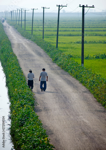 North Korean people riding bicycles in the countryside, Kangwon Province, Chonsam Cooperative Farm, North Korea