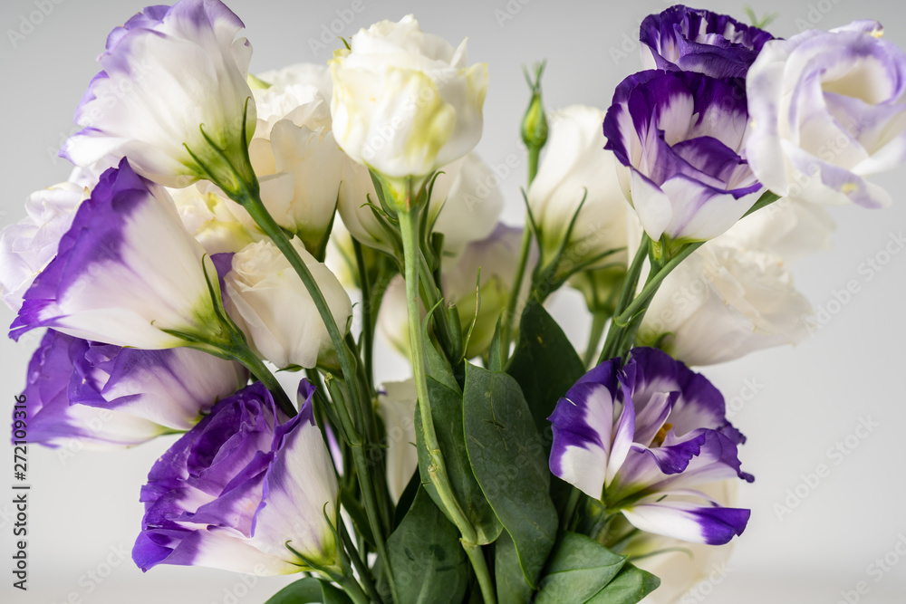 Obraz premium flower