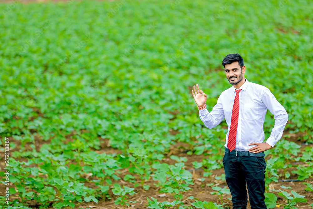 agronomistat cotton field agronomistat cotton field