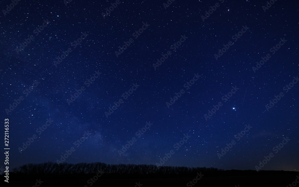 Starry sky and the milky way over the meadow and forest. Starry sky and the milky way over the meadow and forest.
