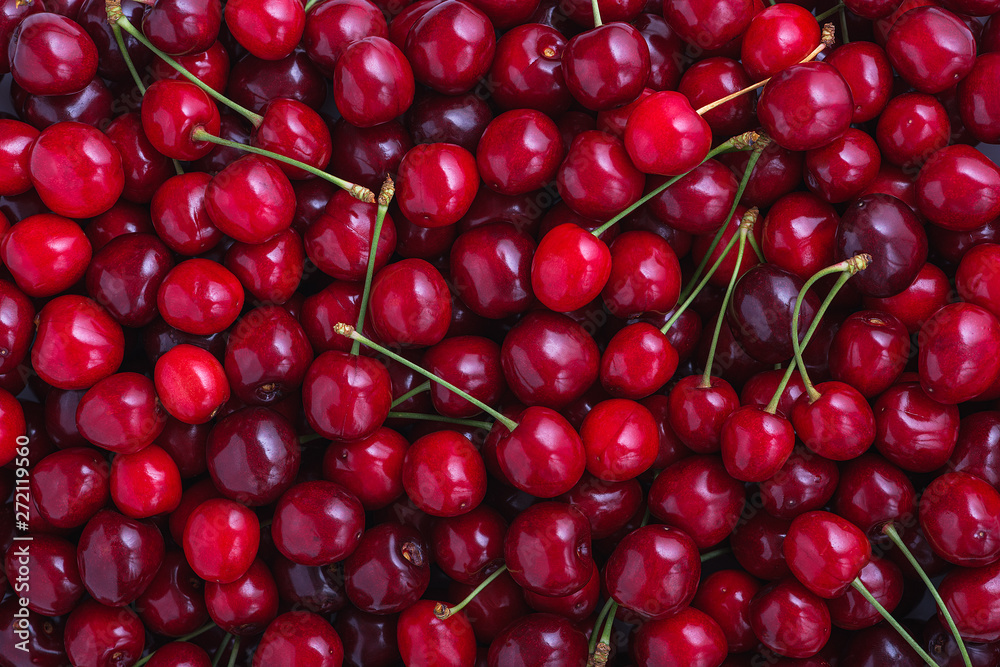 Close up of pile of ripe cherries with stalks. Large collection of fresh red cherries. Ripe cherries background. Close up of pile of ripe cherries with stalks. Large collection of fresh red cherries. Ripe cherries background.