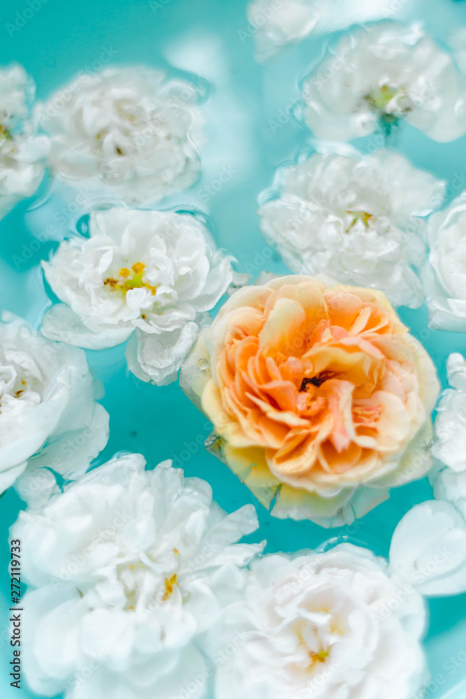 stunning floral texture of roses in water on blue background stunning floral texture of roses in water on blue background