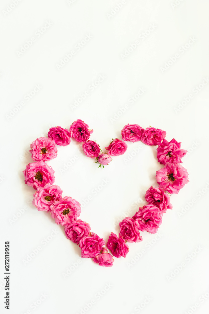 heart of pink roses on white background