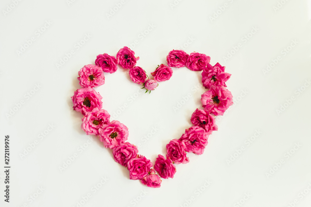 heart of pink roses on white background