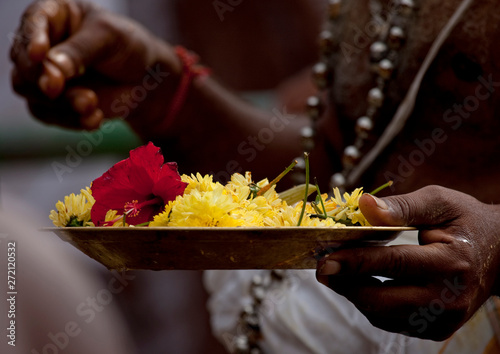 Priest Holding A Plate Full Of Flowers During Masi Magam Festival  In Pondicherry, India photo