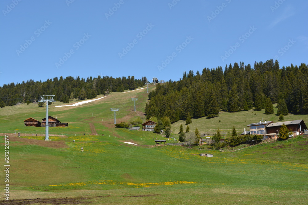 Fototapeta premium Tirol