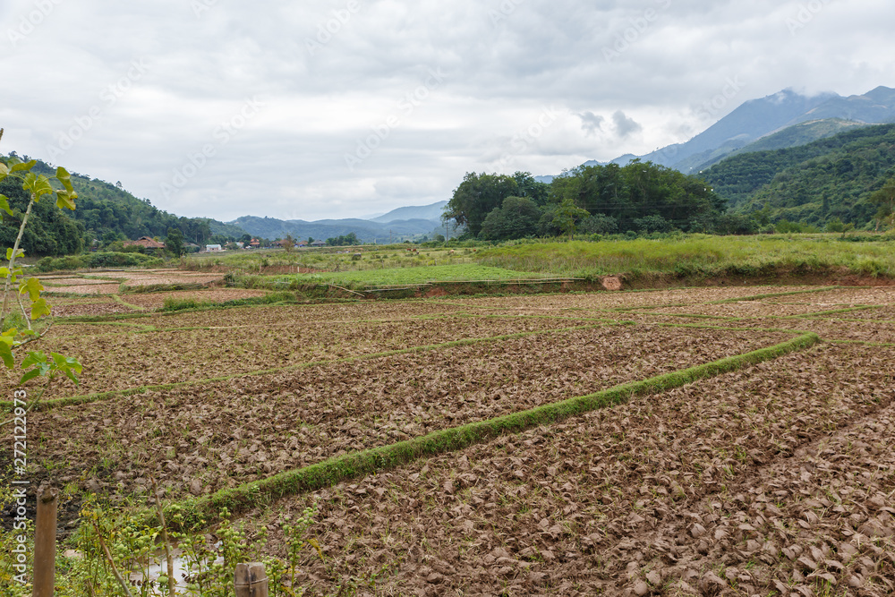 rice fields after harvest, preparing the fields for planting rice, beautiful landscape, Dien Bien province, Vietnam