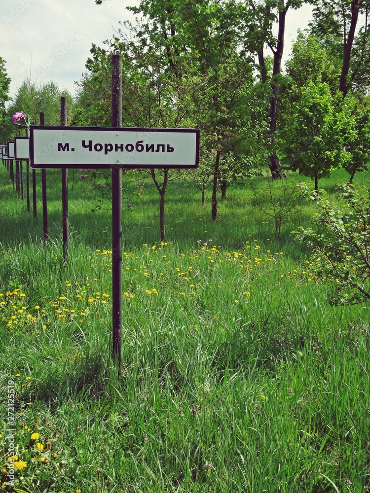 Okolice Czarnobyla i wsi Prypeć na Ukrainie