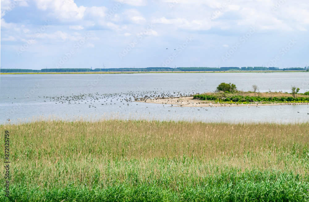 Summer landscape with lake and marshy shore. Islands for birds in a nature reserve in Holland. Nationaal Park Nieuw Land in the Dutch Provincie Flevoland.