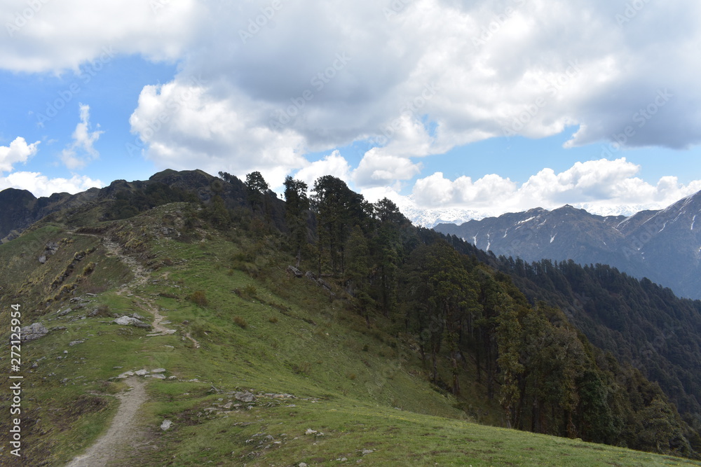 himalaya nature in panwali bugyal