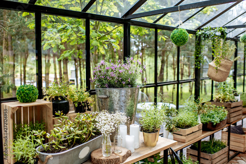 Foto Beautiful herbs and flowers in the greenhouse
