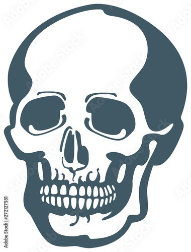 Human skull. Vector drawing. Sketch