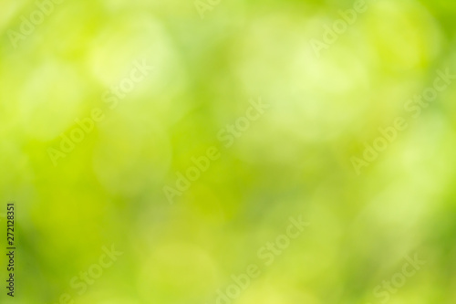 green nature blurred background
