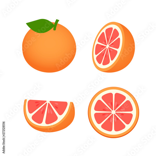 collection of Grapefruit, fruit pattern vector illustration sketch isolated on white background