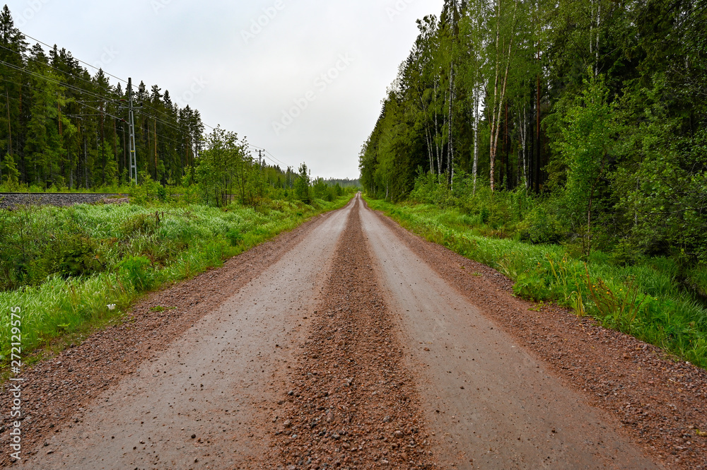 Fototapeta premium Straight gravel road through swedish forest