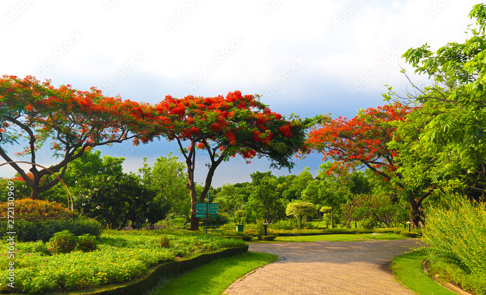 Fototapeta premium Beautiful flowers and tree forest landscaped in the public garden in the summer 