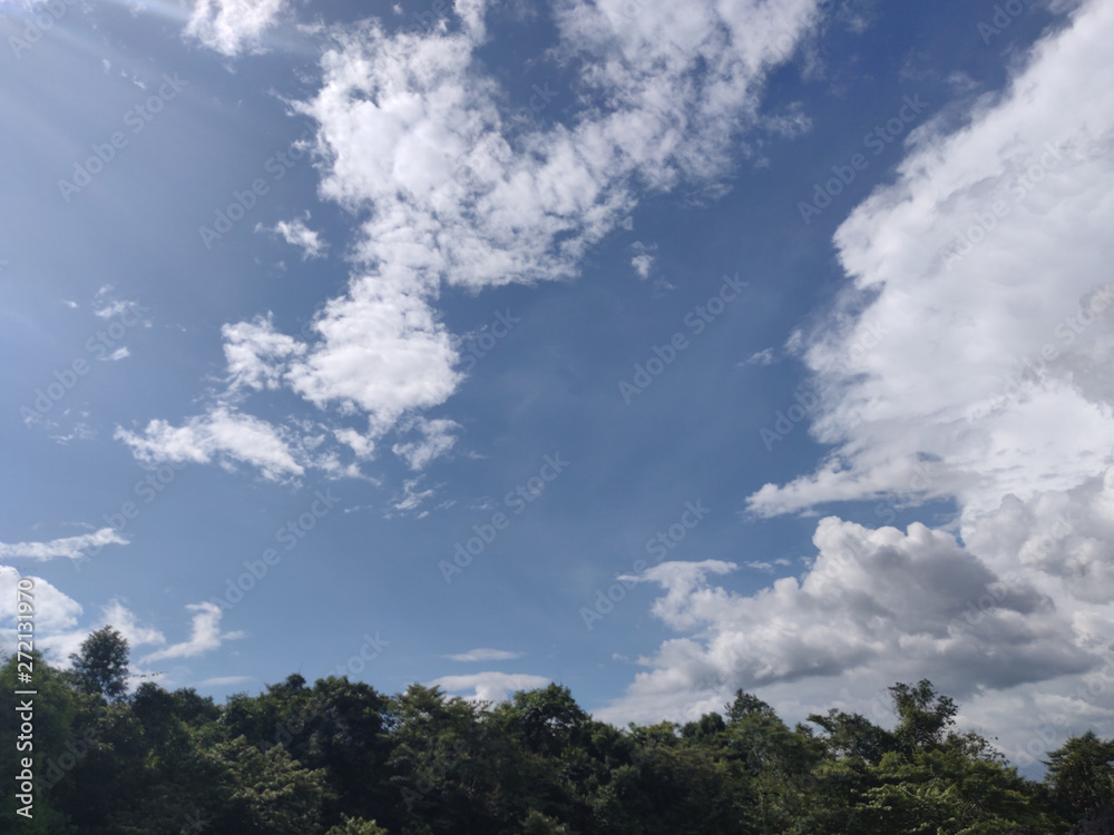 Landscape of forest and blue sky background. Landscape of forest and blue sky background.
