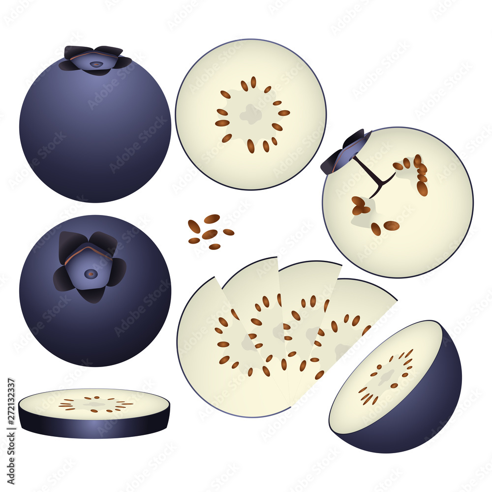 Blue berry vector illustration set. Whole, sliced and halved Blue berrygraphics.