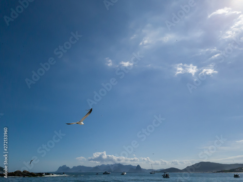 Sunset with seagulls  fly and fish  light reflected in the sea  in the background  the mountains of Rio de Janeiro. This is the landscape seen from Niteroi  RJ  Brazil.