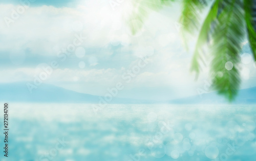 Blurred summer natural marine tropical blue background with palm leaves and sunbeams of light. Sea and sky with white clouds. Copy space, summer vacation concept © 5ph